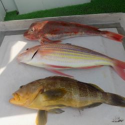 フィッシングボート空風(そらかぜ) 釣果