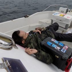 フィッシングボート空風(そらかぜ) 釣果