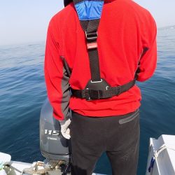 フィッシングボート空風(そらかぜ) 釣果