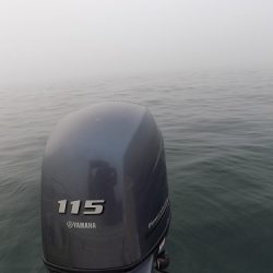 フィッシングボート空風（そらかぜ） 釣果