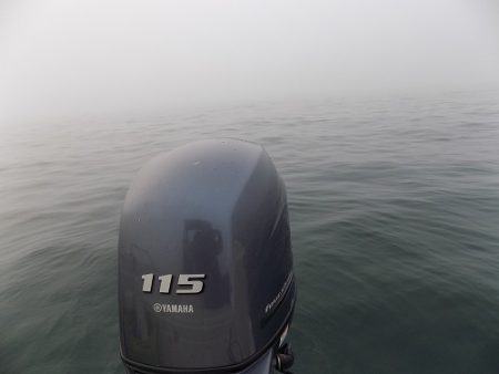 フィッシングボート空風（そらかぜ） 釣果