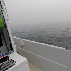 フィッシングボート空風（そらかぜ） 釣果