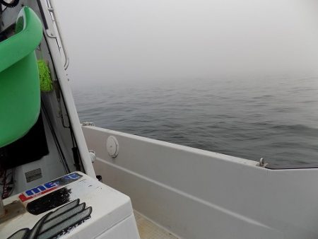 フィッシングボート空風（そらかぜ） 釣果