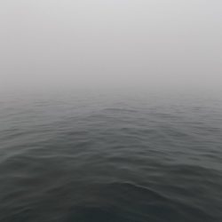 フィッシングボート空風（そらかぜ） 釣果