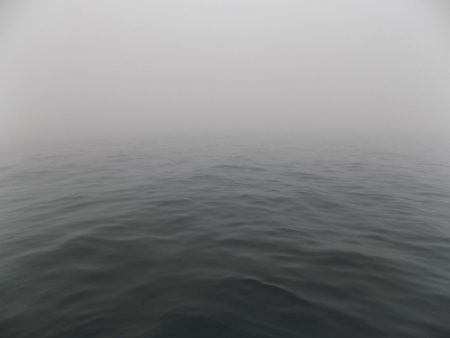 フィッシングボート空風（そらかぜ） 釣果