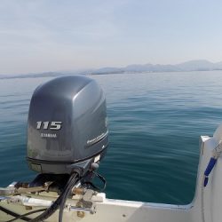 フィッシングボート空風(そらかぜ) 釣果