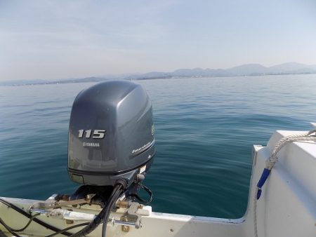 フィッシングボート空風(そらかぜ) 釣果