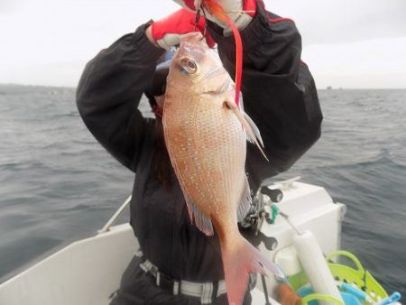 フィッシングボート空風(そらかぜ) 釣果