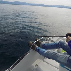 フィッシングボート空風(そらかぜ) 釣果
