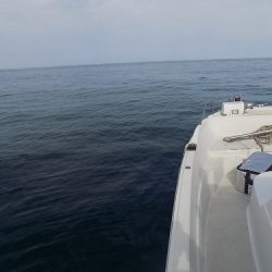 フィッシングボート空風(そらかぜ) 釣果