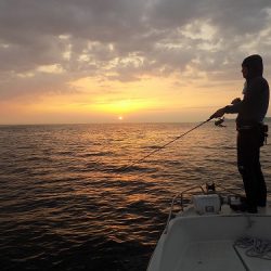 フィッシングボート空風(そらかぜ) 釣果