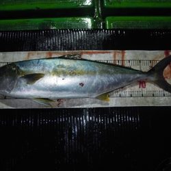 海宝丸 島根 釣果