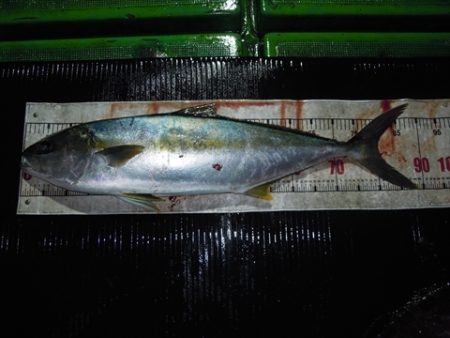 海宝丸 島根 釣果