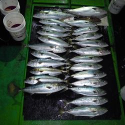 海宝丸 島根 釣果