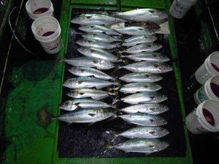 海宝丸 島根 釣果