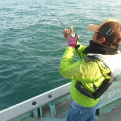 大進丸（愛知） 釣果