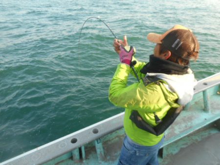 大進丸（愛知） 釣果