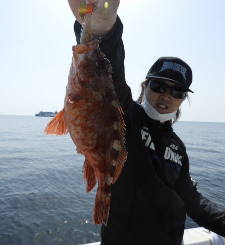 Fisherman Dreams DI 釣果