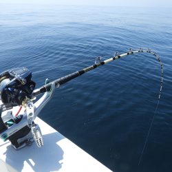 Fisherman Dreams DI 釣果