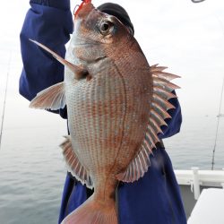 Fisherman Dreams DI 釣果