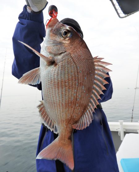 Fisherman Dreams DI 釣果