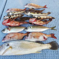 第二常豊丸 釣果