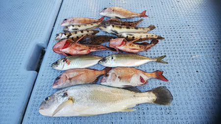 第二常豊丸 釣果