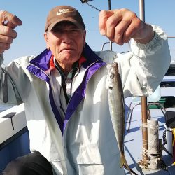 第二常豊丸 釣果