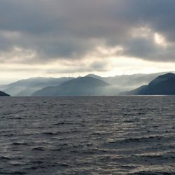 フィッシングボートACE(エース) 釣果