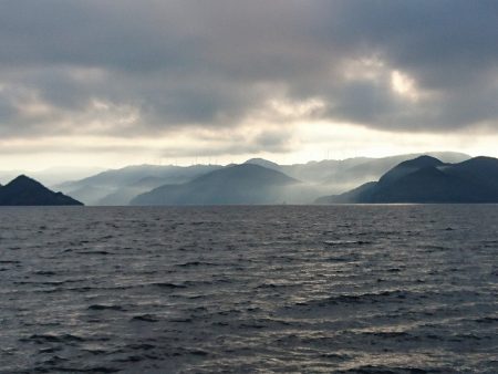 フィッシングボートACE(エース) 釣果