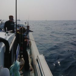 旭星釣りセンター 釣果