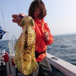 フィッシングボートACE(エース) 釣果