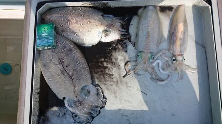 フィッシングボートACE(エース) 釣果