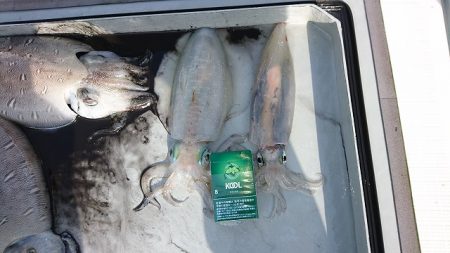 フィッシングボートACE(エース) 釣果