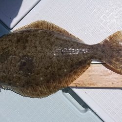 フィッシングボートACE(エース) 釣果