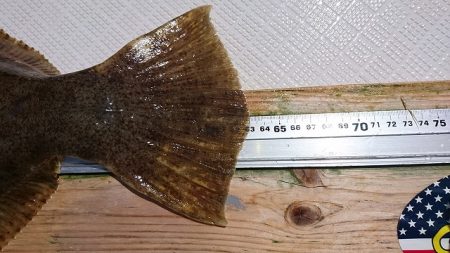 フィッシングボートACE(エース) 釣果