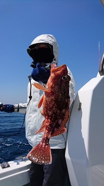 フィッシングボートACE（エース） 釣果