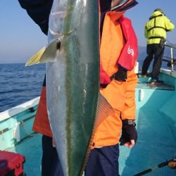 シードリーム 釣果