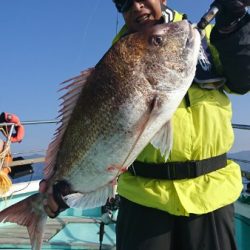 シードリーム 釣果