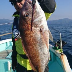 シードリーム 釣果