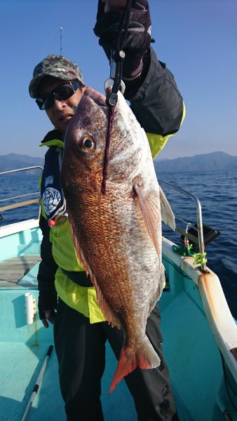 シードリーム 釣果