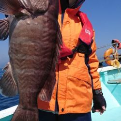 シードリーム 釣果