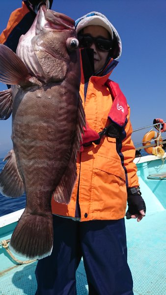 シードリーム 釣果