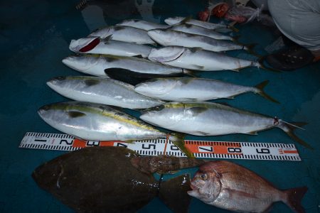 アジアマリンサービス 釣果