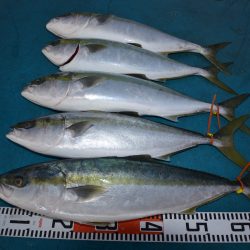 アジアマリンサービス 釣果