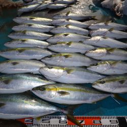 アジアマリンサービス 釣果