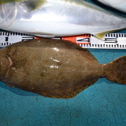 アジアマリンサービス 釣果