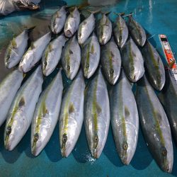 アジアマリンサービス 釣果