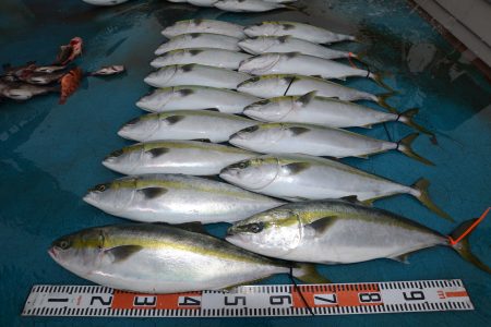 アジアマリンサービス 釣果