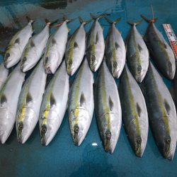 アジアマリンサービス 釣果